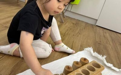 Nurturing Independence and Growth: Montessori Toddler Program for Ages 1.5 to 3 Years