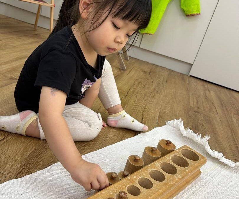 Nurturing Independence and Growth: Montessori Toddler Program for Ages 1.5 to 3 Years