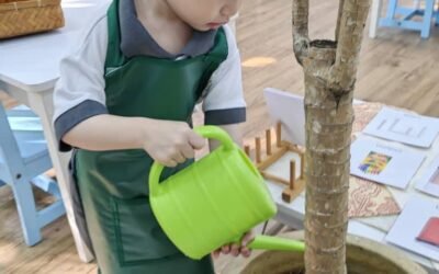 Unlocking a Child’s Potential Through a Prepared Montessori Environment