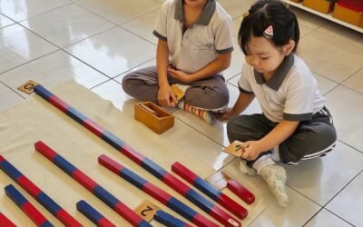 “Nurturing the Mathematical Mind: A Montessori Journey of Discovery”