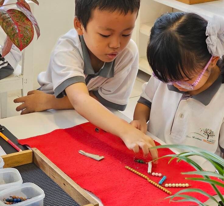 “Montessori Moments: Learning Through Each Other”