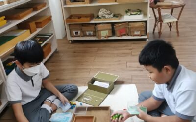 The Power of Self-Directed Learning