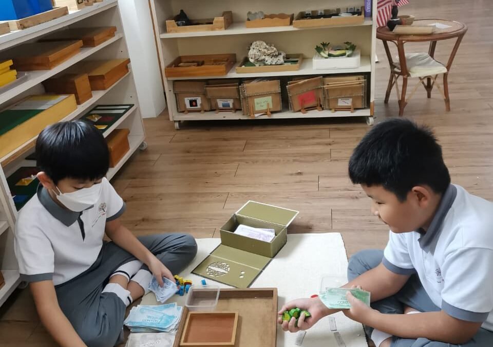 The Power of Self-Directed Learning