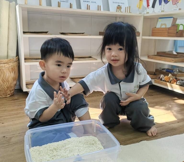 Growing Kind Hearts Through Manners and Friendship