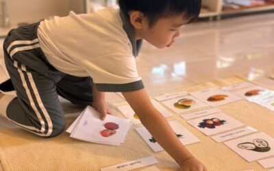 From Sounds to Words: A Journey of Language Discovery